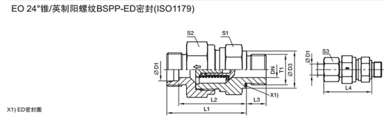 RHV-R-ED 單向閥 英制外螺紋-ED密封-2.jpg